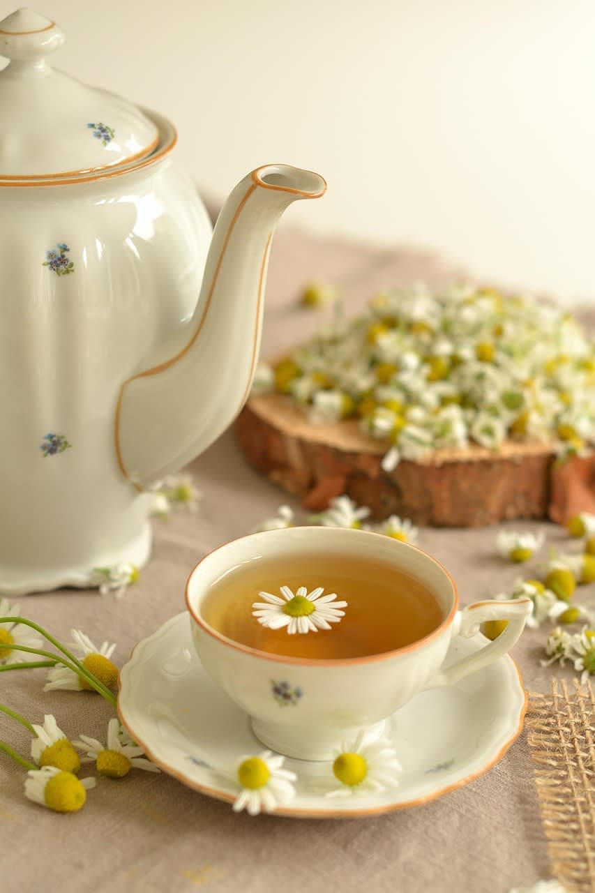 حبة مضاد حيوي واحدة تغيّر أمعاءك لسنوات