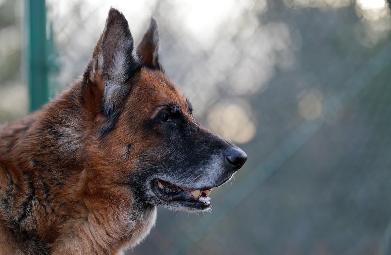 Spaete Ankunft, kleine Rente? Was zu tun ist